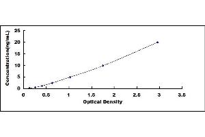 Cystatin D (CST5) ELISA Kit