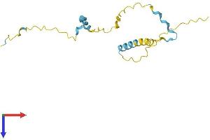 AlphaFold protein structure predicition of Human Recombinant PRR13 Protein, UniprotID Q9NZ81