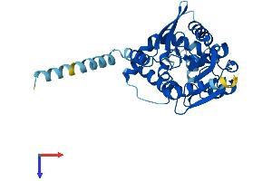 AlphaFold protein structure predicition of Mouse Recombinant Abhd6 Protein, UniprotID Q8R2Y0