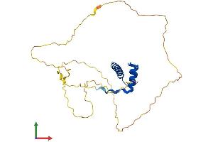 AlphaFold protein structure predicition of Human Recombinant HOXD12 Protein, UniprotID P35452