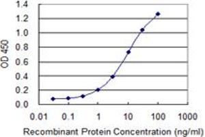 Detection limit for recombinant GST tagged CACNA2D2 is 0.