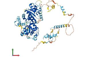 AlphaFold protein structure predicition of Human Recombinant ECD Protein, UniprotID O95905