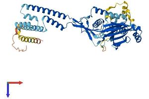 AlphaFold protein structure predicition of Human Recombinant ASIC5 Protein, UniprotID Q9NY37