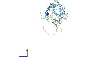 AlphaFold protein structure predicition of Human Recombinant GTF3A Protein, UniprotID Q92664