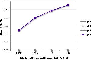 ELISA plate was coated with purified human IgG1, IgG2, IgG3, and IgG4. (Souris anti-Humain IgG4 (Fc Region) Anticorps (Biotin))