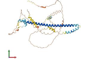 AlphaFold protein structure predicition of Mouse Recombinant Creb3 Protein, UniprotID Q61817