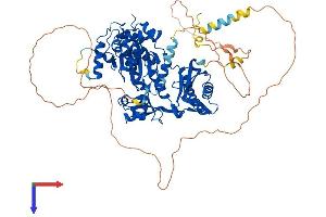 AlphaFold protein structure predicition of Human Recombinant POLH Protein, UniprotID Q9Y253
