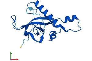 AlphaFold protein structure predicition of Mouse Recombinant Rpl27 Protein, UniprotID P61358