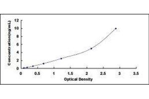 Peroxiredoxin 2 (PRDX2) ELISA Kit