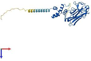 AlphaFold protein structure predicition of Mouse Recombinant Fbxo2 Protein, UniprotID Q80UW2