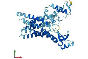 AlphaFold protein structure predicition of Mouse Recombinant Sfxn3 Protein, UniprotID Q91V61
