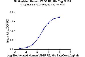 Immobilized Human VEGF165, No Tag at 1 μg/mL (100 μL/Well) on the plate.