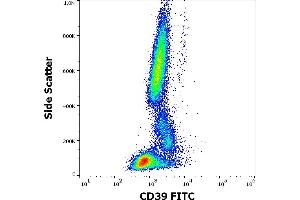 Flow cytometry surface staining pattern of human peripheral whole blood stained using anti-human CD39 (TU66) FITC antibody (4 μL reagent / 100 μL of peripheral whole blood). (CD39 anticorps  (FITC))