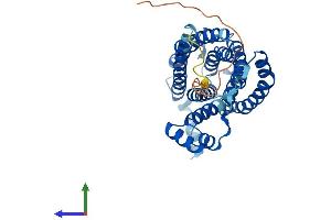 AlphaFold protein structure predicition of Mouse Recombinant Cers2 Protein, UniprotID Q924Z4