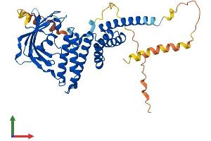 AlphaFold protein structure predicition of Mouse Recombinant Fkbp8 Protein, UniprotID O35465