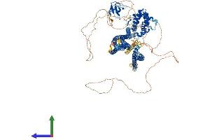 AlphaFold protein structure predicition of Human Recombinant SRGAP1 Protein, UniprotID Q7Z6B7