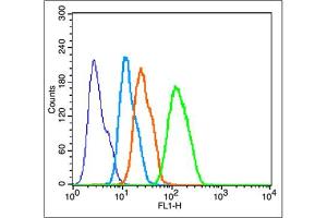 HepG2 cells probed with Cytochrome C Polyclonal Antibody, unconjugated  at 1:100 dilution for 30 minutes compared to control cells (blue) and isotype control (orange).