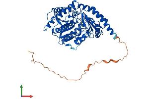 AlphaFold protein structure predicition of Mouse Recombinant Etnppl Protein, UniprotID Q8BWU8