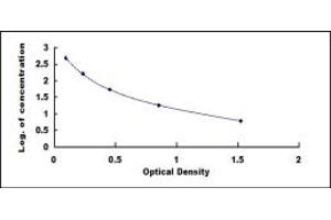 Typical standard curve (Lipotropin, beta - Kit ELISA)