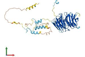 AlphaFold protein structure predicition of Mouse Recombinant Fzr1 Protein, UniprotID Q9R1K5