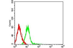 Flow cytometric analysis of HL-60 cells using CD54 mouse mAb (green) and negative control (red).