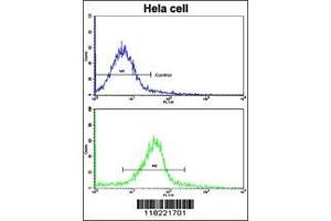 anti-Glutaredoxin 2 (GRX2) (AA 126-155), (C-Term) antibody