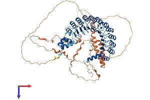 AlphaFold protein structure predicition of Human Recombinant FBXL17 Protein, UniprotID Q9UF56