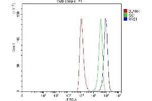 Flow Cytometry analysis of HEL cells using anti-RRS1 antibody (ABIN7602918).