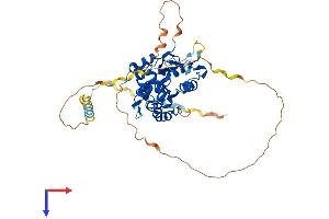 AlphaFold protein structure predicition of Human Recombinant HS3ST4 Protein, UniprotID Q9Y661