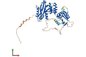 AlphaFold protein structure predicition of Human Recombinant SUFU Protein, UniprotID Q9UMX1