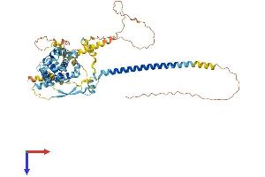 AlphaFold protein structure predicition of Human Recombinant FAM227A Protein, UniprotID F5H4B4