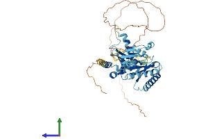 AlphaFold protein structure predicition of Mouse Recombinant Rragd Protein, UniprotID Q7TT45