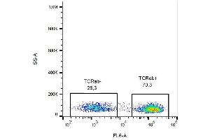 Surface staining of human peripheral blood with anti-TCR alpha/beta (IP26) biotin. (TCR alpha/beta anticorps  (Biotin))