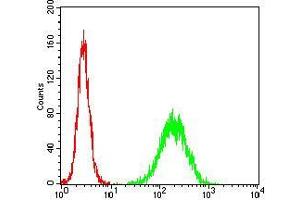 Flow cytometric analysis of Hela cells using TCL1A mouse mAb (green) and negative control (red).