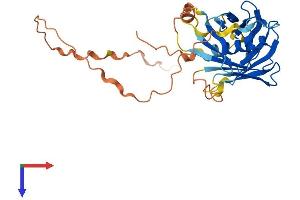 AlphaFold protein structure predicition of Human Recombinant PLSCR3 Protein, UniprotID Q9NRY6