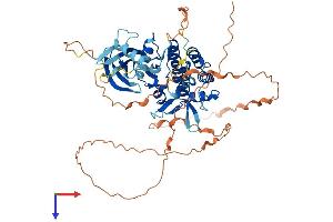 AlphaFold protein structure predicition of Human Recombinant STK35 Protein, UniprotID Q8TDR2