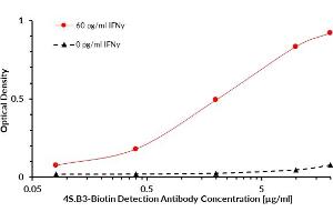 Cytokine IFN gamma (IFNy) sandwich ELISA (enzyme-linked immunosorbent assay) that utilizes antibody clone NIB42 as the protein capture antibody and antibody clone 4S.