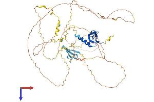 AlphaFold protein structure predicition of Mouse Recombinant Cbx4 Protein, UniprotID O55187