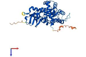 AlphaFold protein structure predicition of Mouse Recombinant Ogg1 Protein, UniprotID O08760