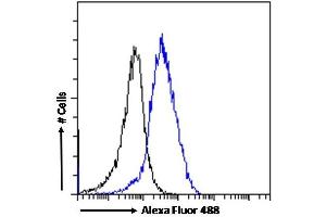 (ABIN185483) Flow cytometric analysis of paraformaldehyde fixed MCF7 cells (blue line), permeabilized with 0.