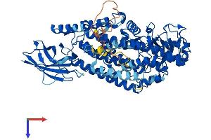 AlphaFold protein structure predicition of Mouse Recombinant Aloxe3 Protein, UniprotID Q9WV07