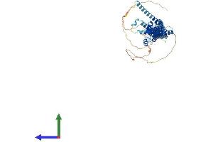 AlphaFold protein structure predicition of Human Recombinant PRC1 Protein, UniprotID O43663