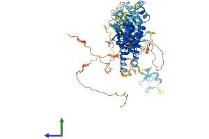 AlphaFold protein structure predicition of Human Recombinant RNF112 Protein, UniprotID Q9ULX5