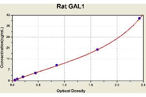 Diagramm of the ELISA kit to detect Rat GAL1with the optical density on the x-axis and the concentration on the y-axis.