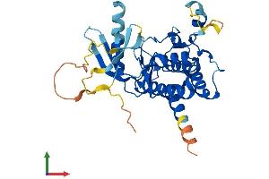 AlphaFold protein structure predicition of Mouse Recombinant Pbk Protein, UniprotID Q9JJ78