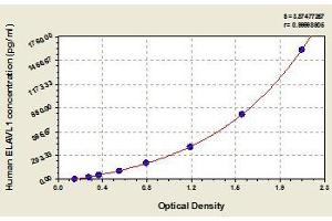 Typical standard curve (ELAVL1 Kit ELISA)