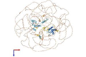 AlphaFold protein structure predicition of Human Recombinant ASXL1 Protein, UniprotID Q8IXJ9