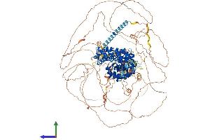 AlphaFold protein structure predicition of Mouse Recombinant Ctnnd2 Protein, UniprotID O35927