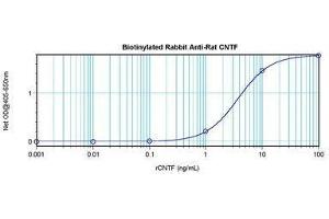 Image no. 1 for anti-Ciliary Neurotrophic Factor (CNTF) antibody (Biotin) (ABIN465710)