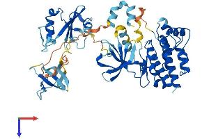 AlphaFold protein structure predicition of Human Recombinant SRMS Protein, UniprotID Q9H3Y6
